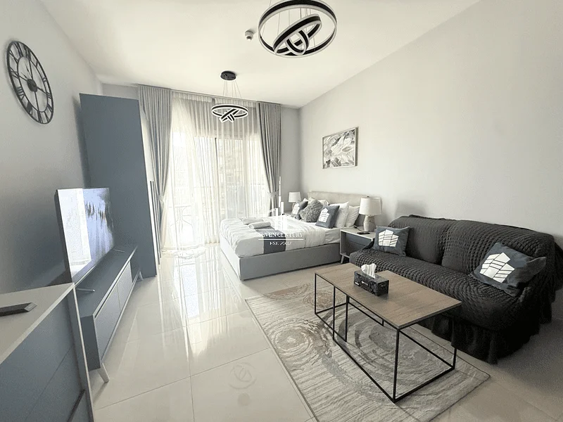 Multiple Cheques | Fully Furnished Studio63790992779650112