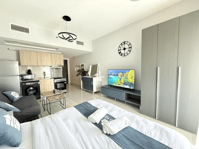 Multiple Cheques | Fully Furnished Studio63790992779650113