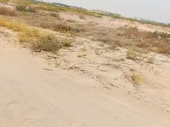 For sale, land in the Al-Saj’a Industrial Area, Old Hanou, Block 7, area approximately 40,000 squa