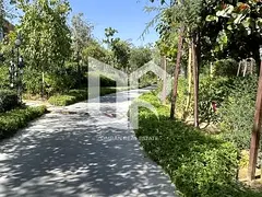 Luxury Living Surrounded by Nature in the Heart of Sharjah