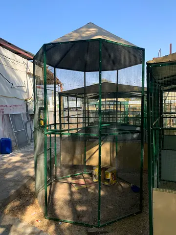 Spacious Outdoor Bird Aviary for Sale