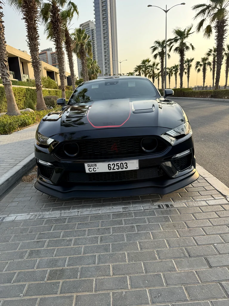 Mach 1 fastback premium 202363488809749634111