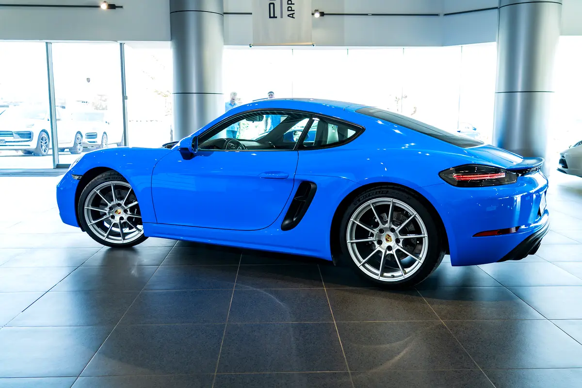 gallery-image