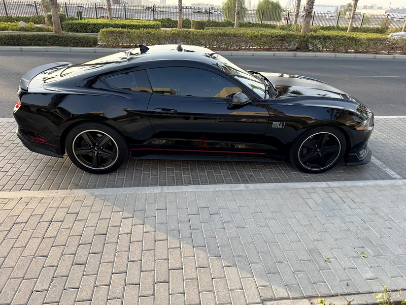 Mach 1 fastback premium 202363488809749634113