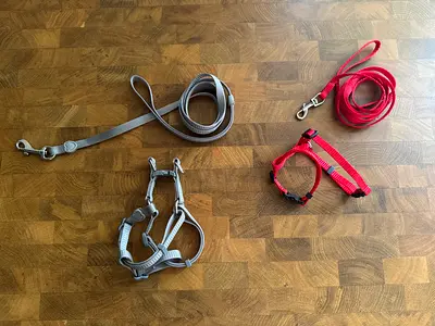 Brand new kitten harness