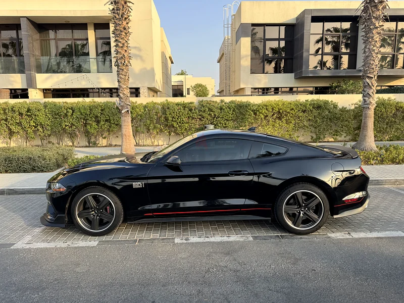 Mach 1 fastback premium 202363488809749634112