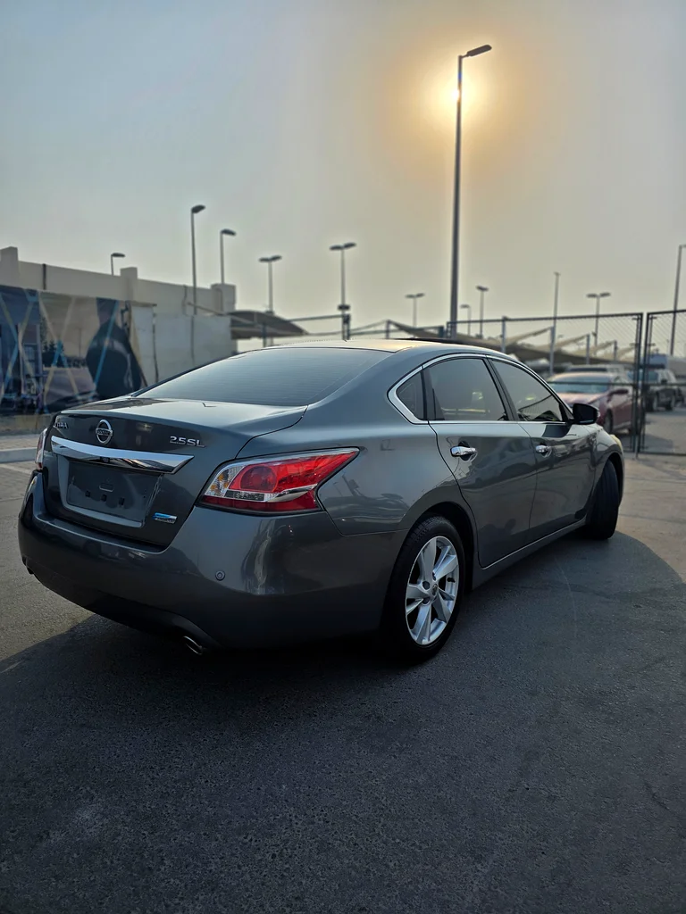نيسان التيما 201463399974390018113