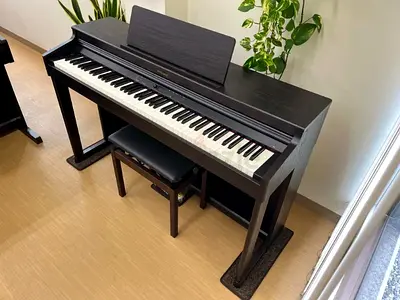 Roland RP701 – Elegant Sound Meets Modern Style