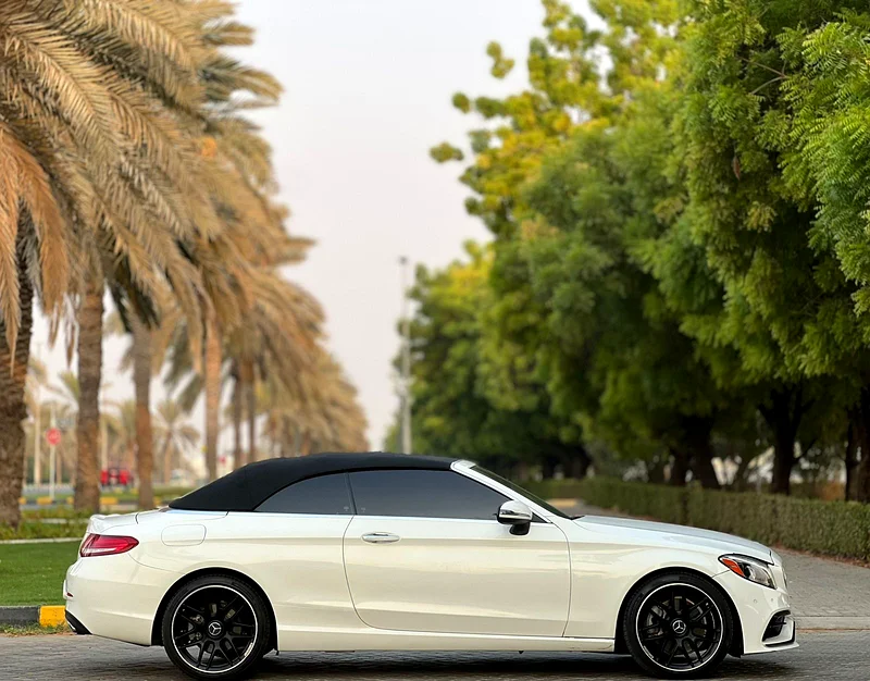 Mercedes C30063488611318529114