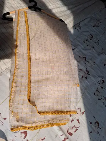 Organza zari dupatta