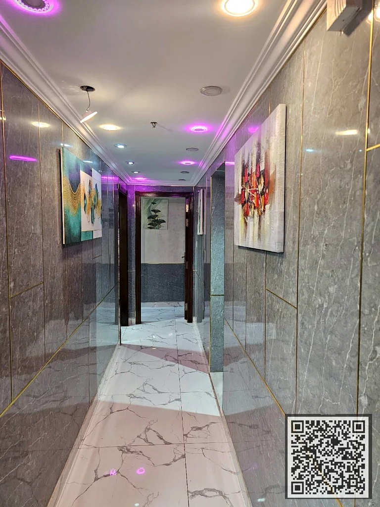 LUXURY FULLY FURNISHED 3 BEDROOM HALL MODIFIED 2 BHK WITH PARKING | CREEK VIEW IN OASIS TOWER63887947138562110
