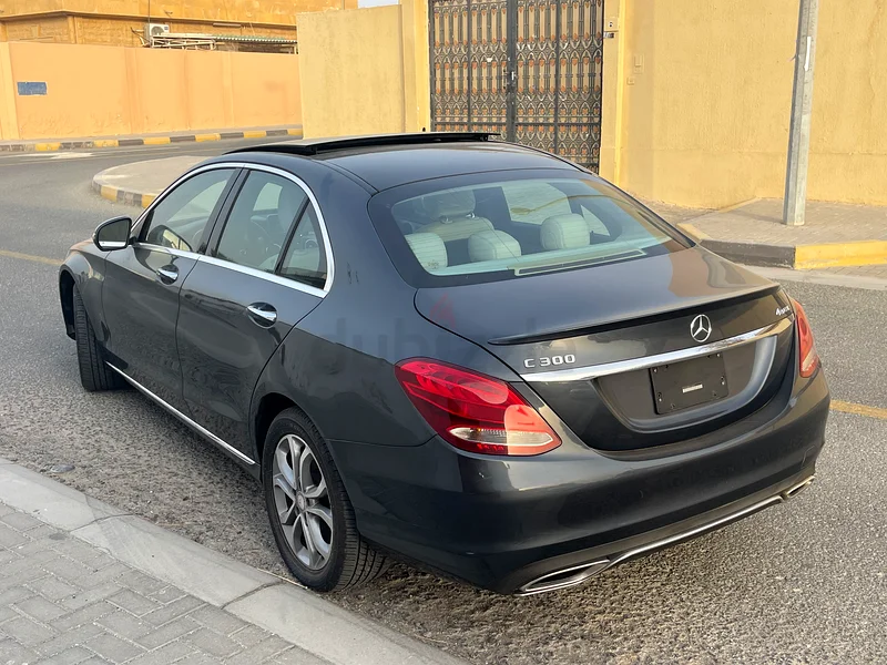 C30063488579018241113