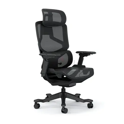 Ergonomic mesh chair