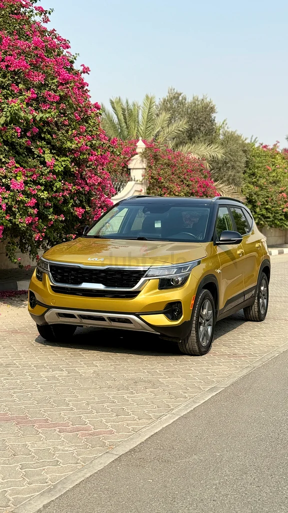 KIA SELTOS 202263489132095361114