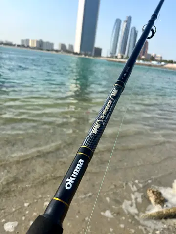 Fishing Rod - Your Key to Catching the Big One!