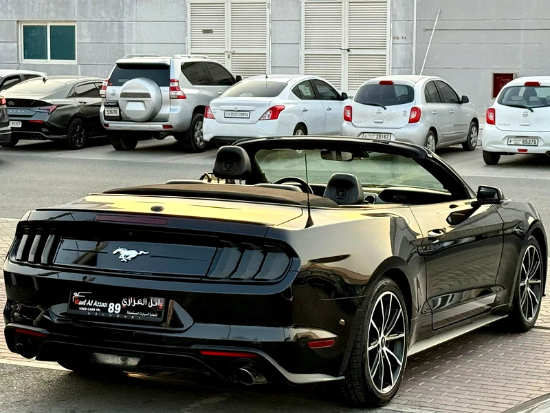 American Mustang EcoBoost 2020 in excellent condition.
No maintenance required.63488711646850114