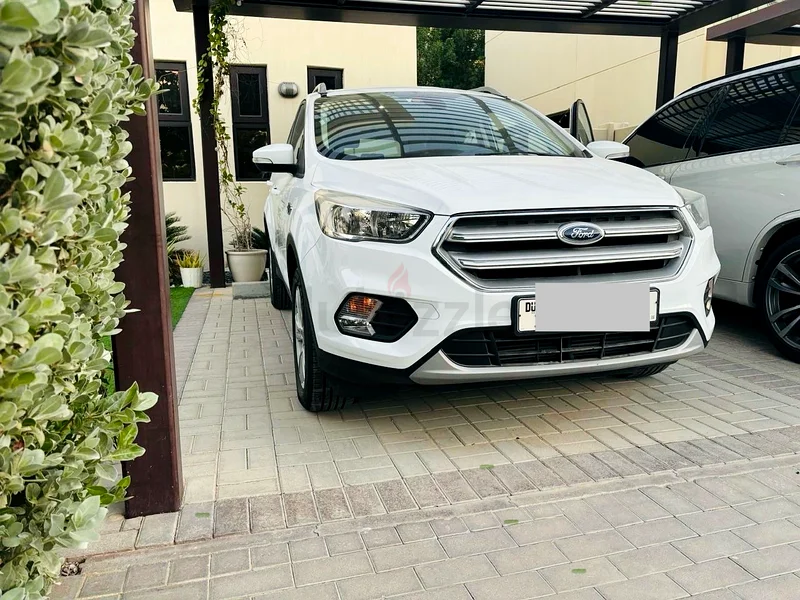 Original paint low mileage best condition Escape 2020 Full Service History AWD Eco Boost63488875302273113