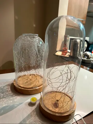 Glass Dome Bell Jar Cloche Display Wooden Base