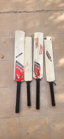 2 cricket bats
