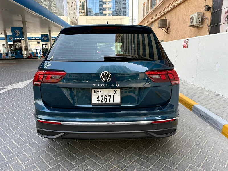 Dubai business pay63490078187905111