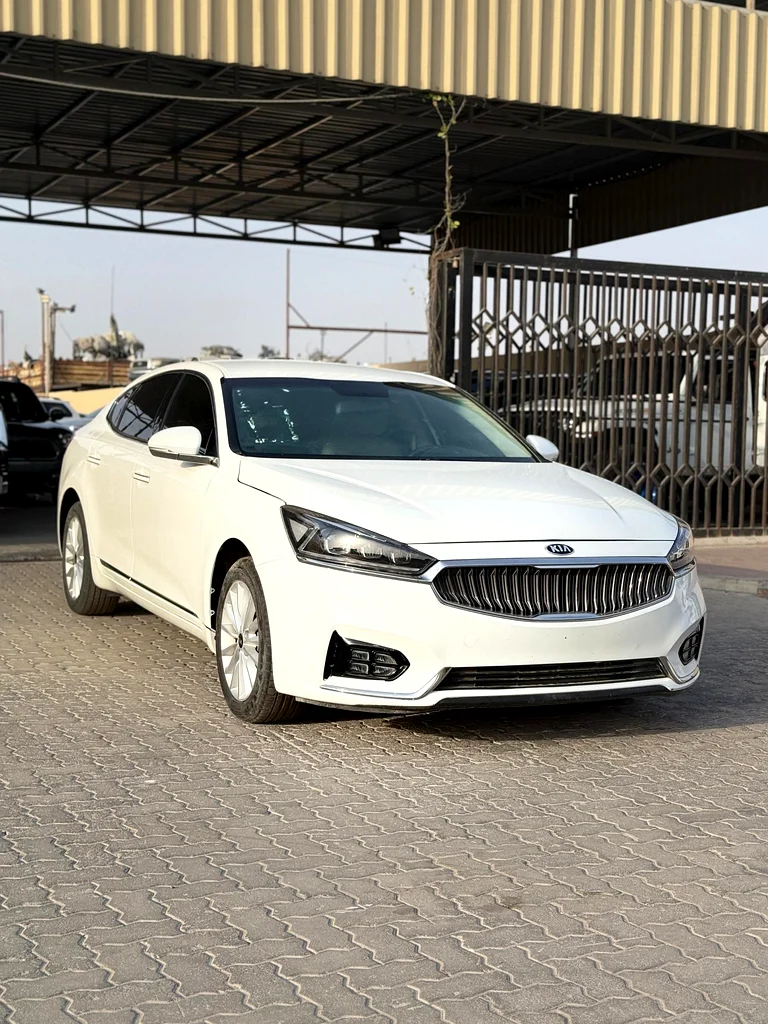 KIA CADENZA 201963489132232067115