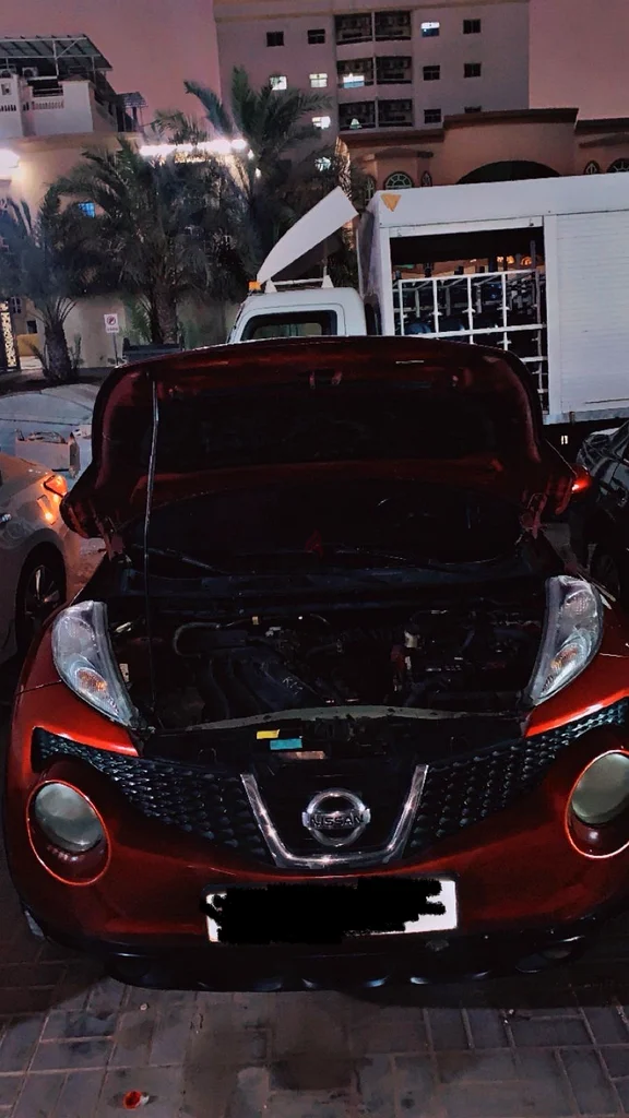 Nissan juke 201263488046957569114