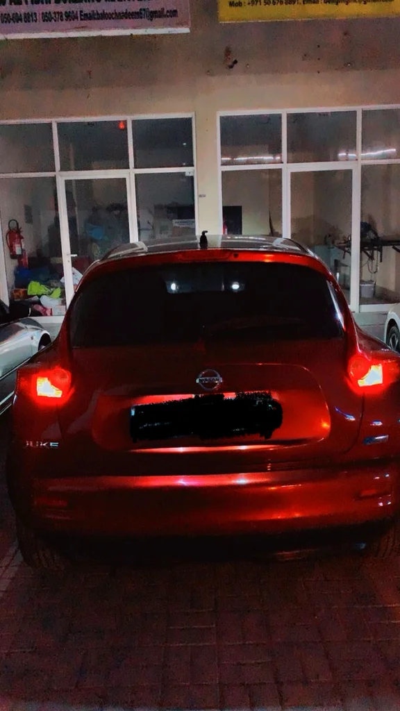 Nissan juke 201263488046957569113