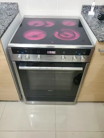 Siemens electric