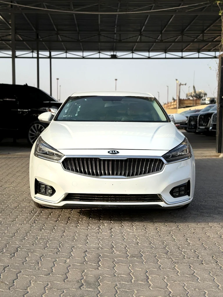 KIA CADENZA 201963489132232067111