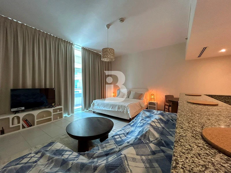IDEAL STUDIO | FURNISHED | ROOMY | VACANT63798416182401113
