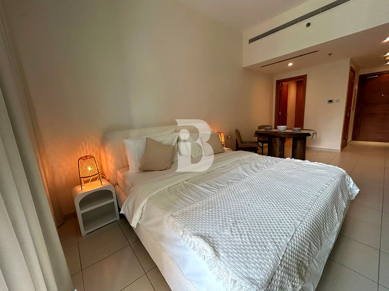 IDEAL STUDIO | FURNISHED | ROOMY | VACANT63798416182401114