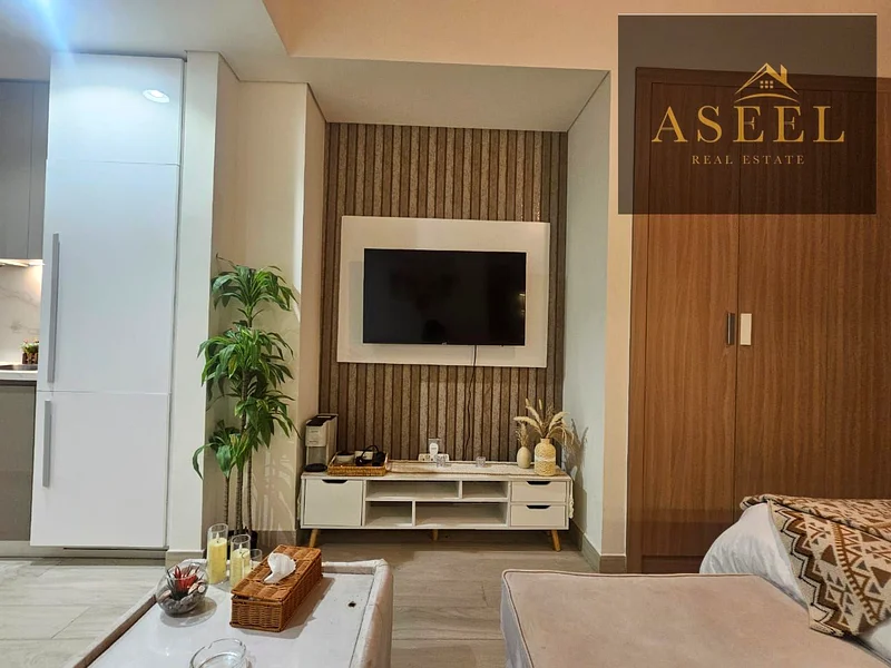 Best Price Offer | Vacant | Spacious | Furnished63800513196802111