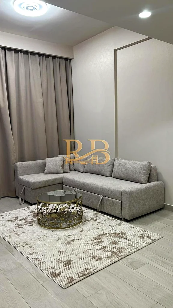 1BHK,ONE BEDROOM, RENT, BRAND NEW, AZIZI RIVIERA, PHASE 3, SPACIOUS, HIGH FLOOR63803743348738111