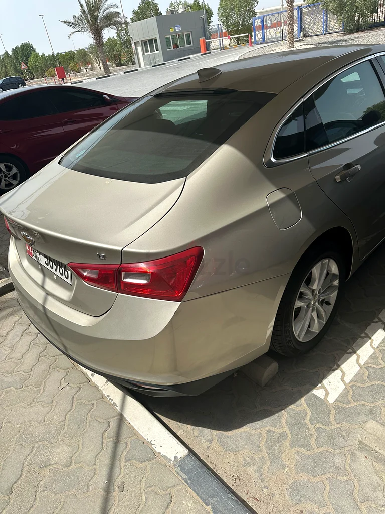 مدينه محمد بن زايد63489389202178111