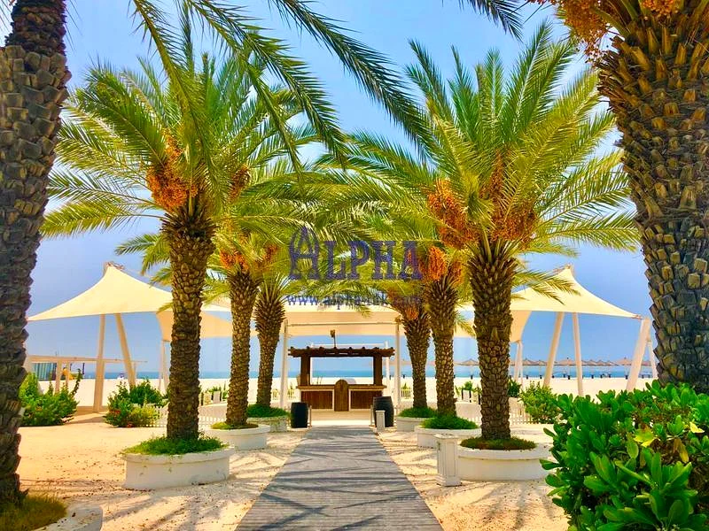 مفروش بالكامل | غرفة نوم واحدة + غرفة خادمة63858774860673112