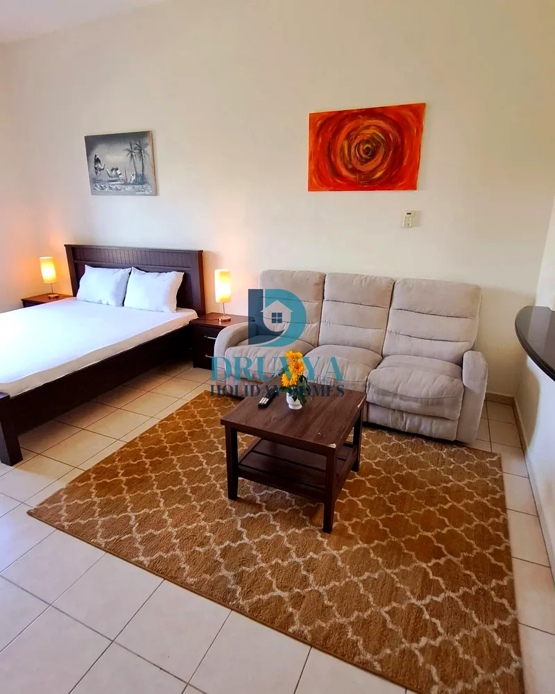 Fully Furnished Studio Near Metro Station Monthly AED 500063829054069762110