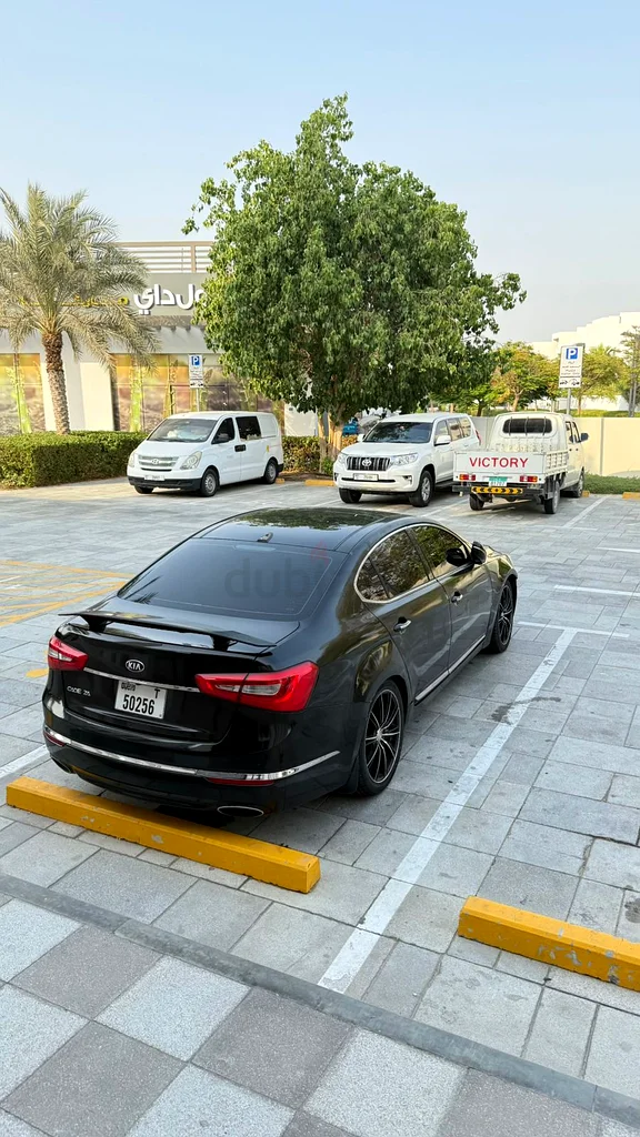 دبي63482219181058114