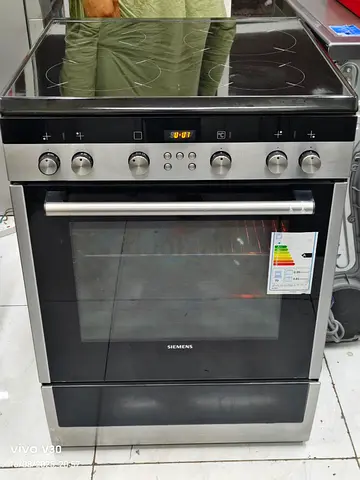 Siemens electric