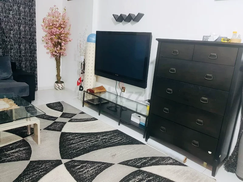 1BHK Apartment — Fully Furnished — Free Central AC-63827763178369110
