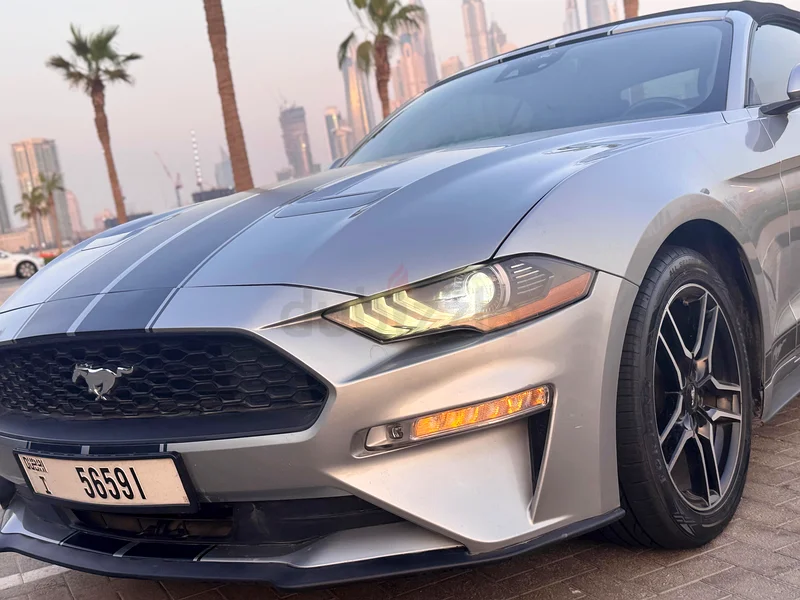 Ford Mustang EcoBoost 2021 – Premium Convertible63488841469315111