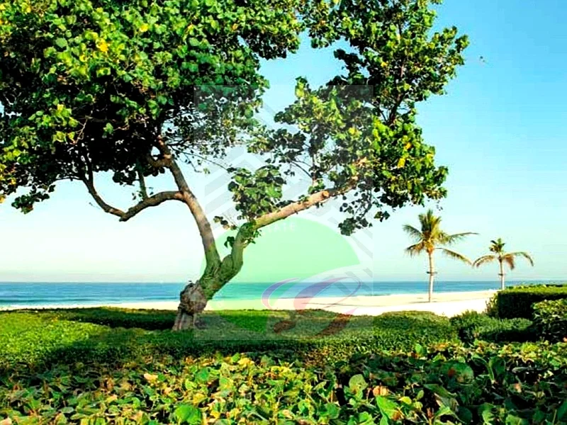 0 Down Payment | Green Horizon Estate | 0 Commission | Direct from Developer | Freehold | Near Beach63879119198081112