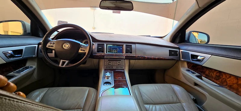 LOVELY JAGUAR FOR SALE63491177155970114