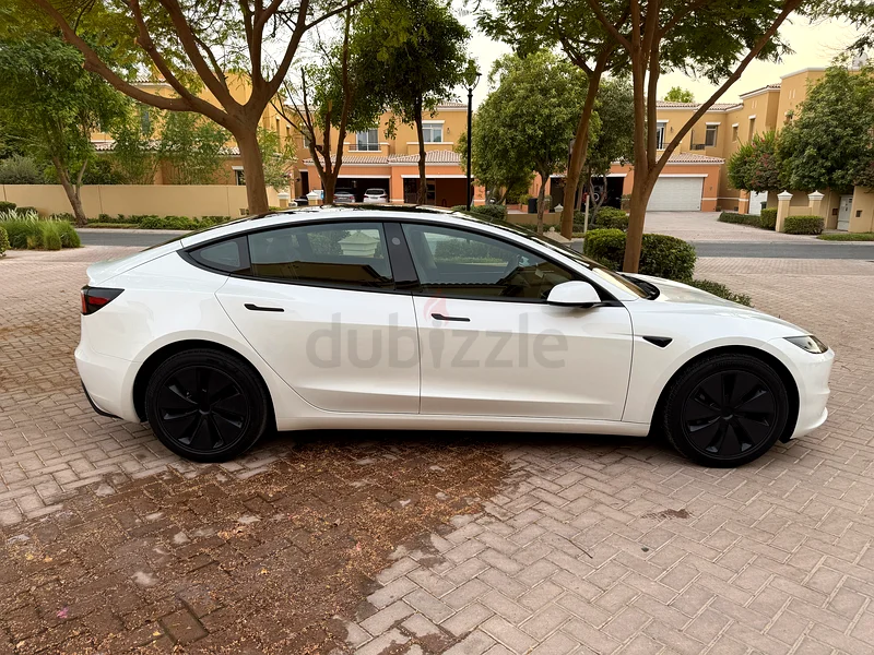 Model 3 Long Range 202563490630819713113