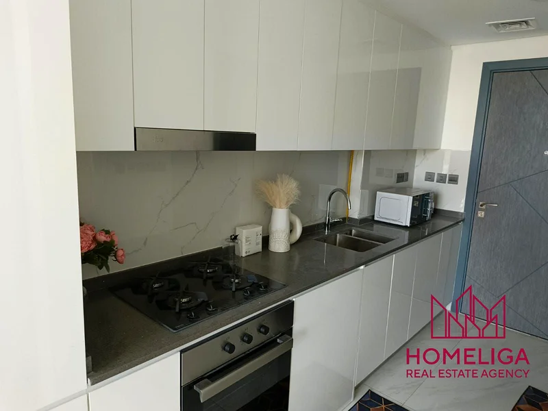 LUXURY STUDIO | FULLY FURNISHED | TENANTED63941742029697113
