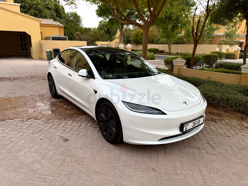 Model 3 Long Range 202563490630819713112