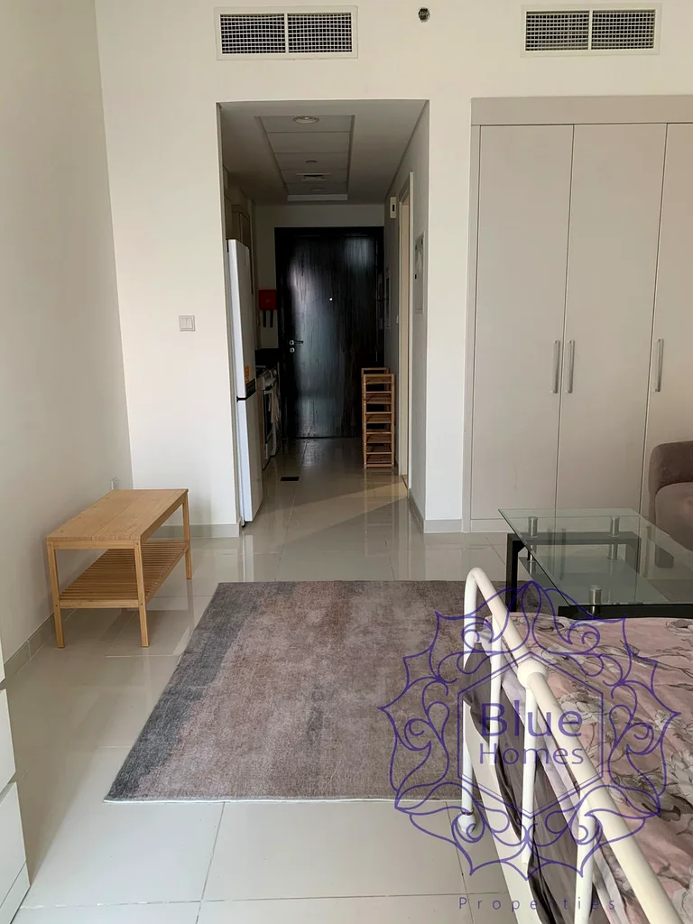 Fully furnished spacious studio  
Lower floor  
City view  
Rent: 50,00063494740326018114