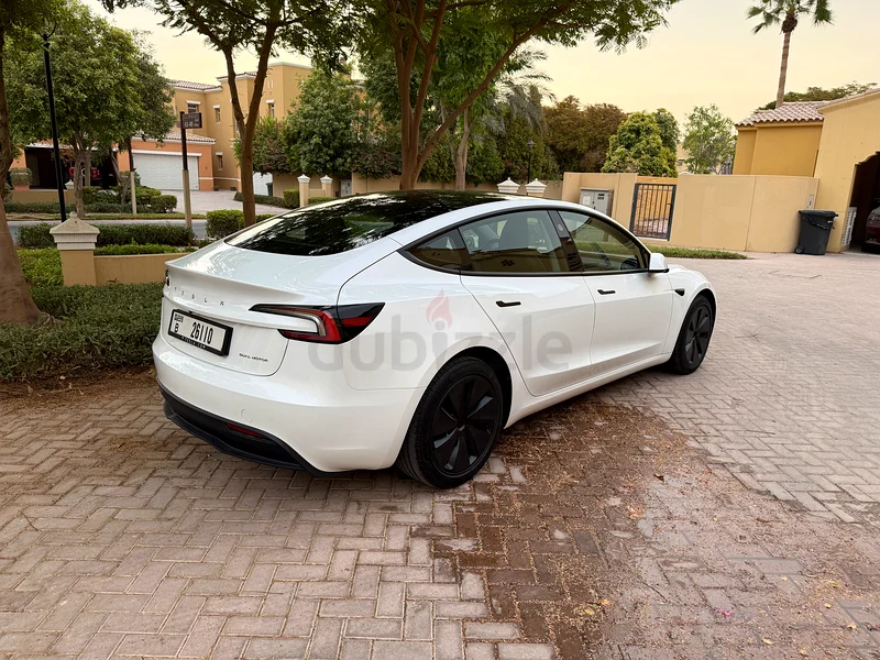Model 3 Long Range 202563490630819713114
