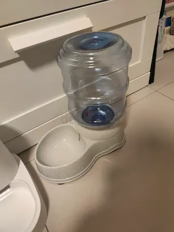 Stray Cats Water Dispenser Outdoor