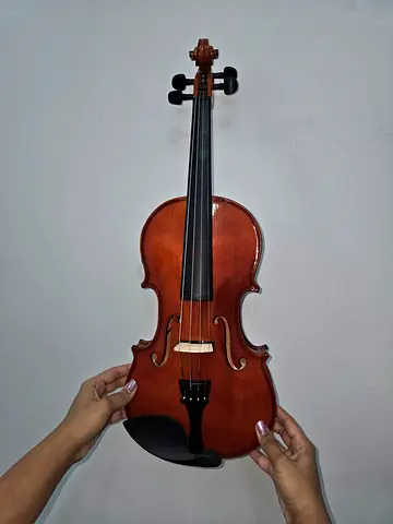 Electric acoustic violin