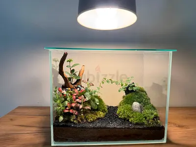 Terrarium